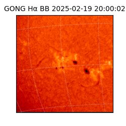 gong - 2025-02-19T20:00:02