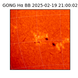 gong - 2025-02-19T21:00:02