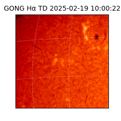 gong - 2025-02-19T10:00:22