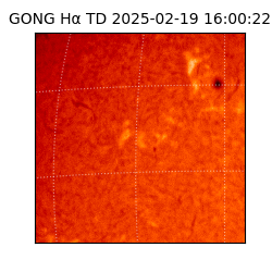 gong - 2025-02-19T16:00:22