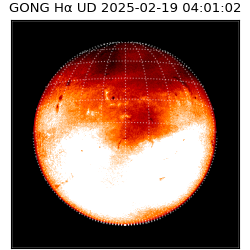 gong - 2025-02-19T04:01:02