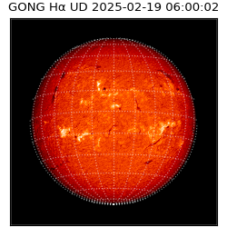 gong - 2025-02-19T06:00:02