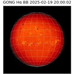 gong - 2025-02-19T20:00:02