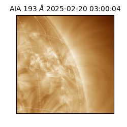 saia - 2025-02-20T03:00:04.843000