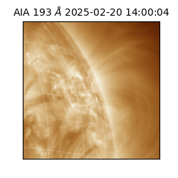 saia - 2025-02-20T14:00:04.843000