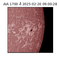 saia - 2025-02-20T09:00:28.717000