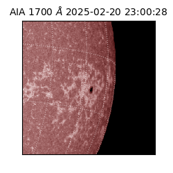saia - 2025-02-20T23:00:28.717000