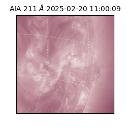 saia - 2025-02-20T11:00:09.630000
