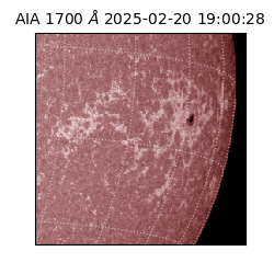 saia - 2025-02-20T19:00:28.717000