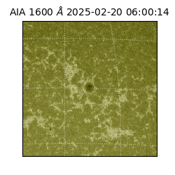 saia - 2025-02-20T06:00:14.126000