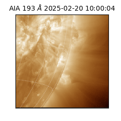 saia - 2025-02-20T10:00:04.843000