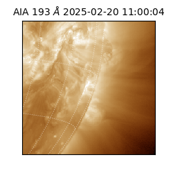 saia - 2025-02-20T11:00:04.843000