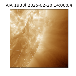 saia - 2025-02-20T14:00:04.843000