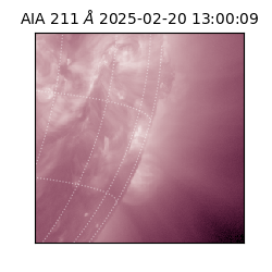 saia - 2025-02-20T13:00:09.626000