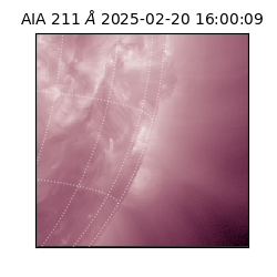 saia - 2025-02-20T16:00:09.626000