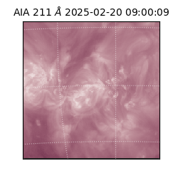 saia - 2025-02-20T09:00:09.630000