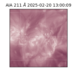 saia - 2025-02-20T13:00:09.626000