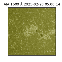 saia - 2025-02-20T05:00:14.126000