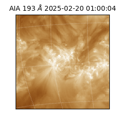 saia - 2025-02-20T01:00:04.847000