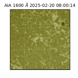 saia - 2025-02-20T08:00:14.125000