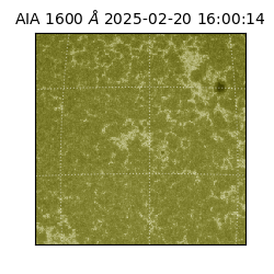 saia - 2025-02-20T16:00:14.126000