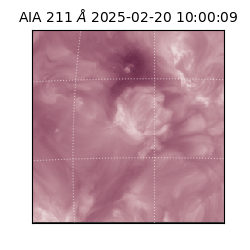 saia - 2025-02-20T10:00:09.629000