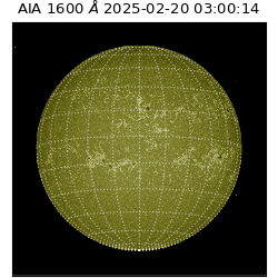 saia - 2025-02-20T03:00:14.125000