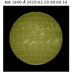 saia - 2025-02-20T08:00:14.125000
