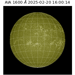 saia - 2025-02-20T16:00:14.126000