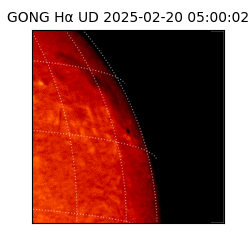 gong - 2025-02-20T05:00:02