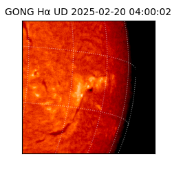 gong - 2025-02-20T04:00:02