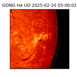 gong - 2025-02-20T05:00:02