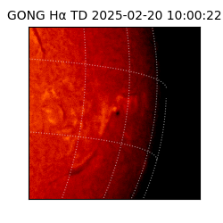 gong - 2025-02-20T10:00:22