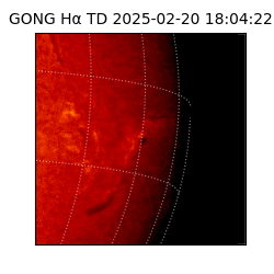 gong - 2025-02-20T18:04:22