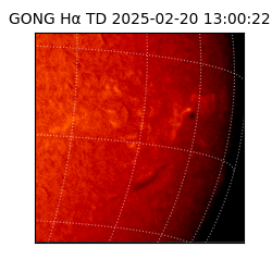 gong - 2025-02-20T13:00:22