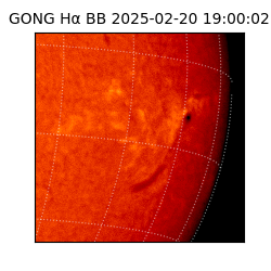gong - 2025-02-20T19:00:02
