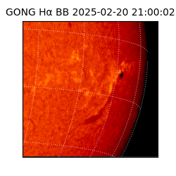 gong - 2025-02-20T21:00:02