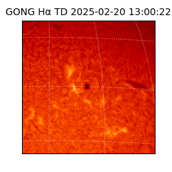 gong - 2025-02-20T13:00:22