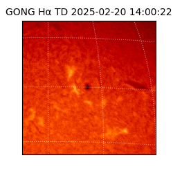 gong - 2025-02-20T14:00:22