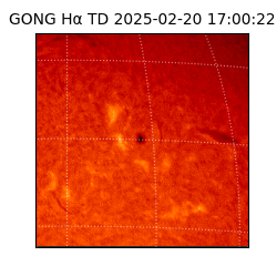 gong - 2025-02-20T17:00:22