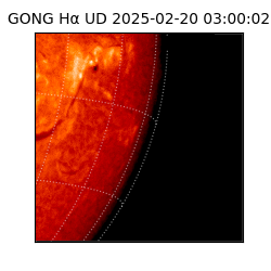 gong - 2025-02-20T03:00:02