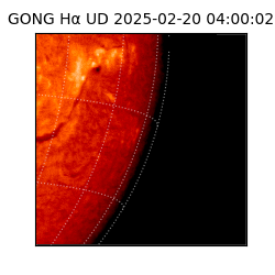 gong - 2025-02-20T04:00:02