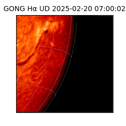 gong - 2025-02-20T07:00:02