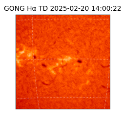 gong - 2025-02-20T14:00:22