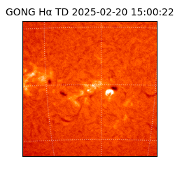 gong - 2025-02-20T15:00:22