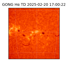 gong - 2025-02-20T17:00:22