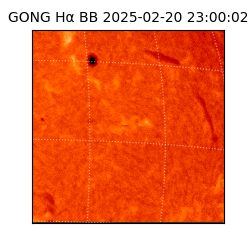 gong - 2025-02-20T23:00:02