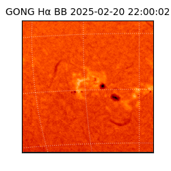 gong - 2025-02-20T22:00:02