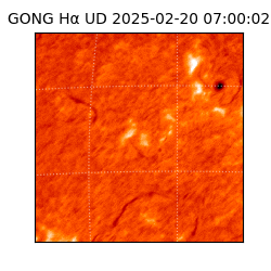 gong - 2025-02-20T07:00:02