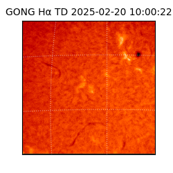 gong - 2025-02-20T10:00:22